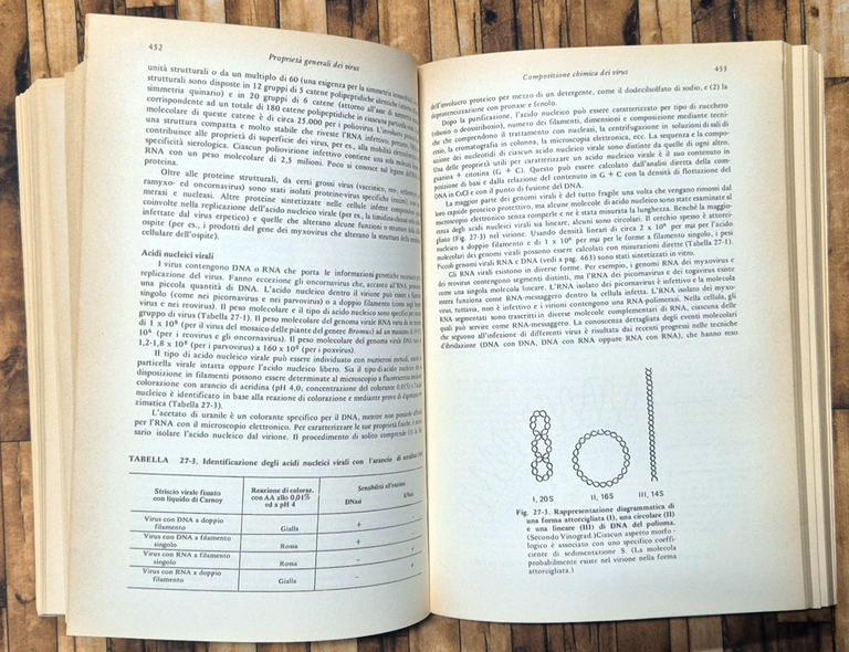 MICROBIOLOGIA MEDICA di Jawetz Melnick Adelberg 1977 Piccin Libro manuale | Immagine Gallery 3