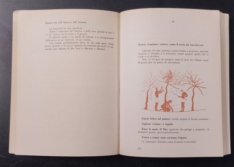 MODI DI DIRE DELLA LINGUA ITALIANA di Carlo Lapucci 1969 …