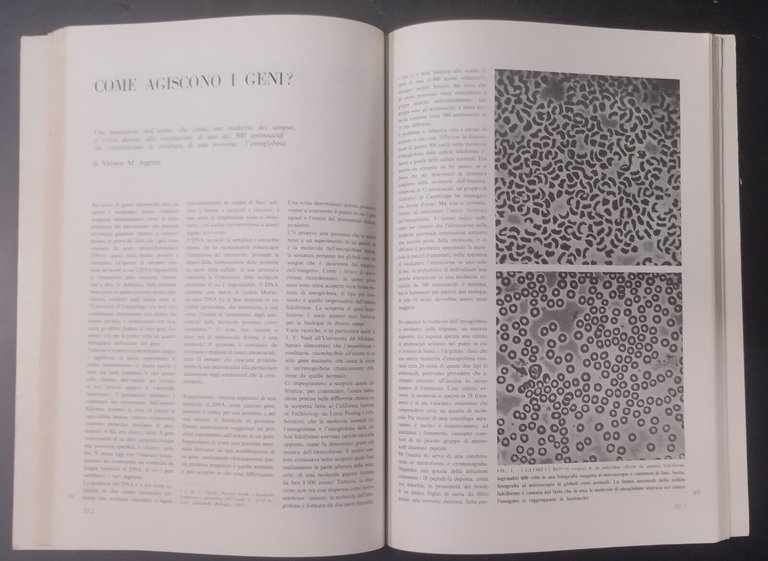 MOLECOLE E VITA 1968 Zanichelli Libro articoli pubblicati da scientifi …