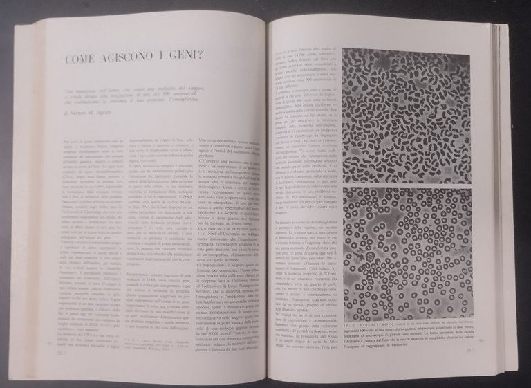 MOLECOLE E VITA 1968 Zanichelli Libro articoli pubblicati da scientifi …