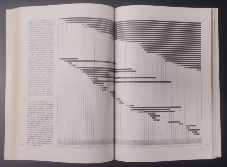 MOLECOLE E VITA 1968 Zanichelli Libro articoli pubblicati da scientifi …