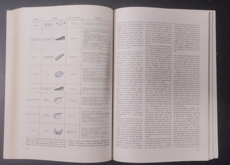 MOLECOLE E VITA 1968 Zanichelli Libro articoli pubblicati da scientifi …