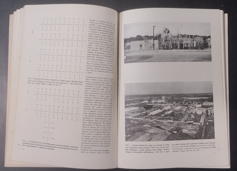 MOLECOLE GIGANTI 1967 Zanichelli Libro articoli pubblicati in scientific america
