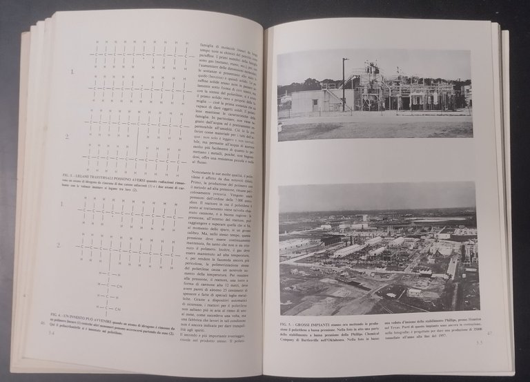 MOLECOLE GIGANTI 1967 Zanichelli Libro articoli pubblicati in scientific america