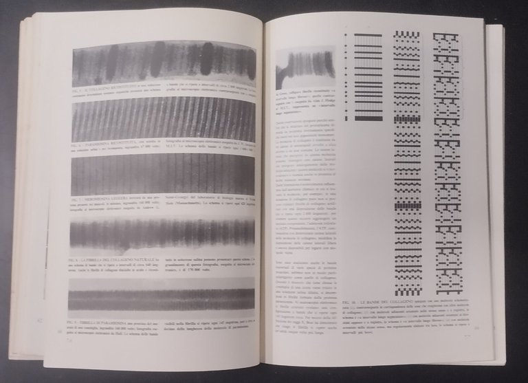 MOLECOLE GIGANTI 1967 Zanichelli Libro articoli pubblicati in scientific america