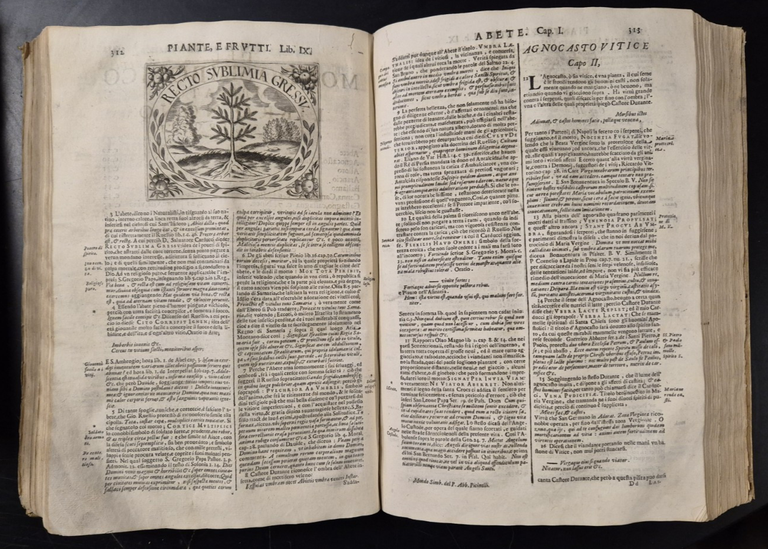 MONDO SIMBOLICO FORMATO D'IMPRESE di Filippo Picinelli 1670 mancano 12 …