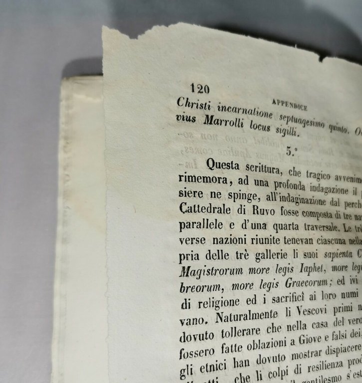 MONOGRAFIA DI RUVO DI MAGNA GRECIA di Salvatore Fenicia 1857 …