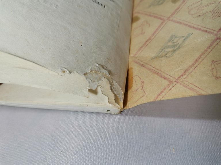 MONOGRAFIA DI RUVO DI MAGNA GRECIA di Salvatore Fenicia 1857 …