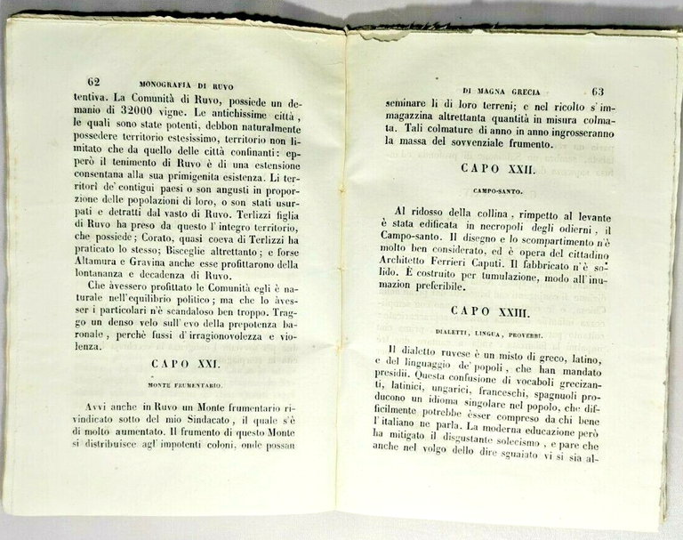 MONOGRAFIA DI RUVO DI MAGNA GRECIA Salvatore Fenicia 1857 libro …