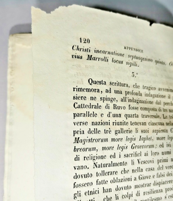 MONOGRAFIA DI RUVO DI MAGNA GRECIA Salvatore Fenicia 1857 libro …
