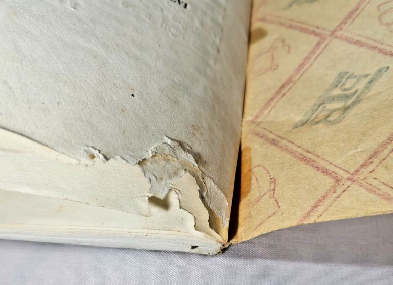 MONOGRAFIA DI RUVO DI MAGNA GRECIA Salvatore Fenicia 1857 libro …