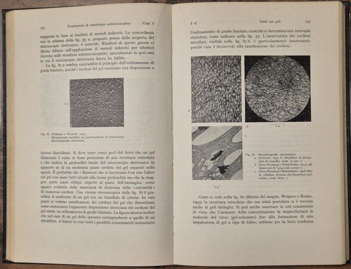 MORFOLOGIA SUBMICROSCOPICA DEL PROTOPLASMA di Frey Wyssling 1951 Einaudi Libro