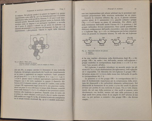 MORFOLOGIA SUBMICROSCOPICA DEL PROTOPLASMA di Frey Wyssling 1951 Einaudi Libro