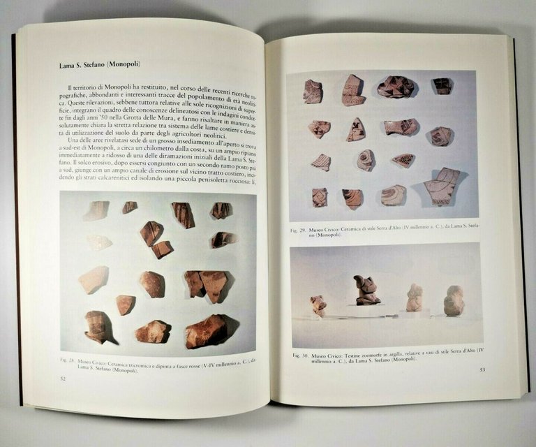 MUSEO CIVICO DI CONVERSANO la sezione archeologica di Vito L'Abbate …