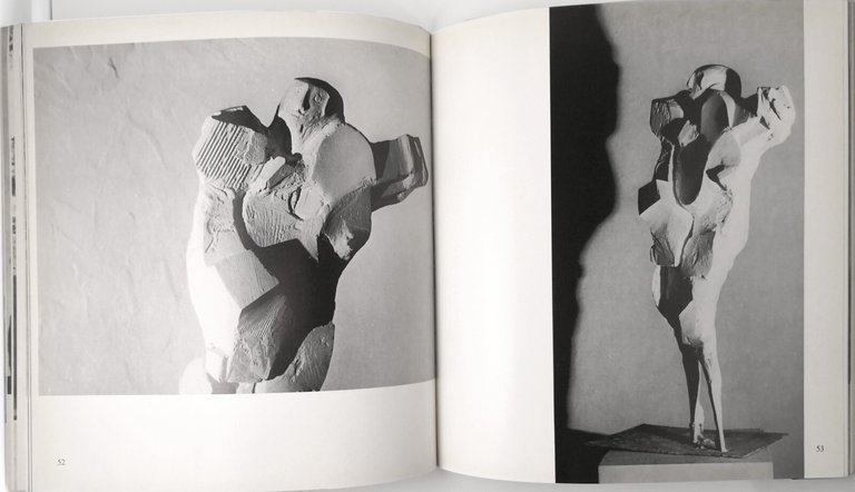 NAG ARNOLDI Palazzo Strozzi 1981 Editrice d'Arte Ghelfi Libro catalogo …