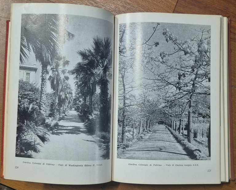 NATURA E MONTAGNA 3 annate complete 1962 1963 1964 rivista …
