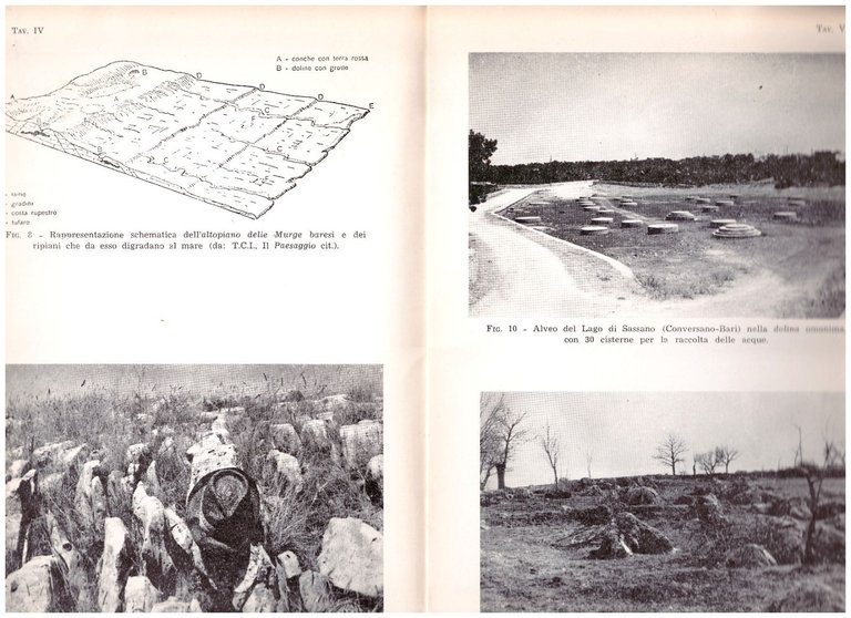 NATURA E PAESAGGIO IN PUGLIA di Luigi Ranieri 1971 Adriatica …