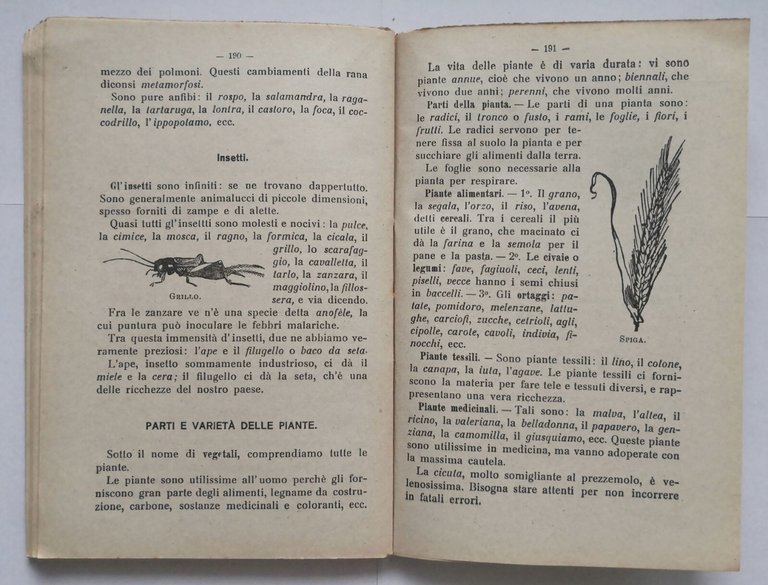 NÈ TROPPO NE POCO di Alarico Elia 1923 Salvatore Biondo …