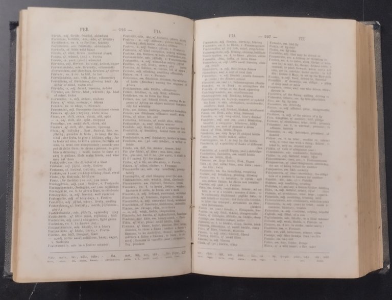 NEW ENGLISH ITALIAN PRONOUNCING EXPLANATORY DICTIONARY volum 2 1857 libro …