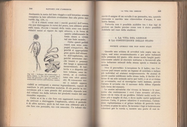 NOI E LA VITA di Karl V Frisch Biologia moderna …