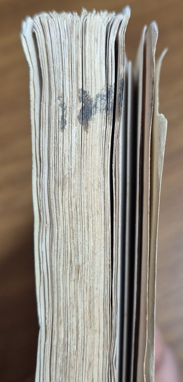 NOTIZIE STORICHE ARCHEOLOGICHE DELLA ANTICA GNATHIA di Ludovico Pepe 1883 … | Immagine Gallery 13