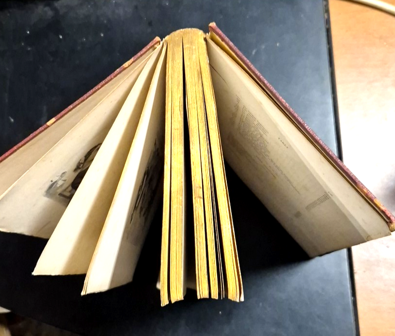 NOUVELLES FABLES MORALES ET RELIGIEUSES di Caldelar Adèle 1862 Gauguet …