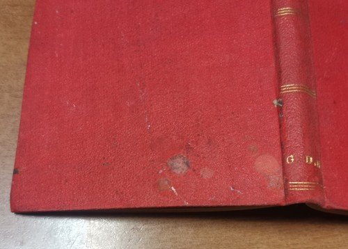 NOVE DONNE di G Petrai 1885 Verdesi Libro Antico Romanzo …