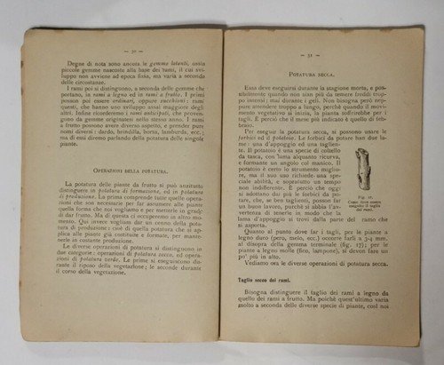 NOZIONI DI FRUTTICOLTURA Giovanni Dalmasso 1921 Vallardi Editore libro manuale