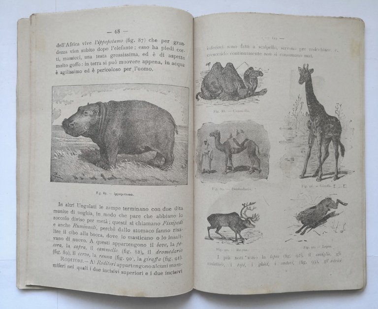 NOZIONI DI SCIENZE FISICHE E NATURALI Vinci 1918 quinta classe …