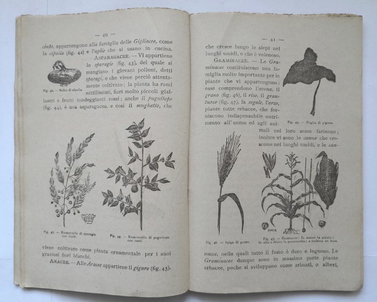NOZIONI DI SCIENZE FISICHE E NATURALI Vinci 1918 quinta classe …