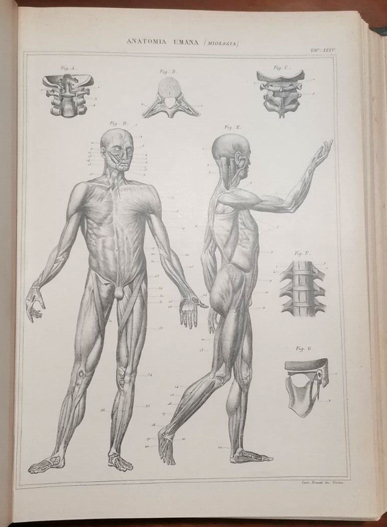 NUOVA ENCICLOPEDIA ITALIANA di Gerolamo Boccardo 1875 COMPLETA 31 volumi …