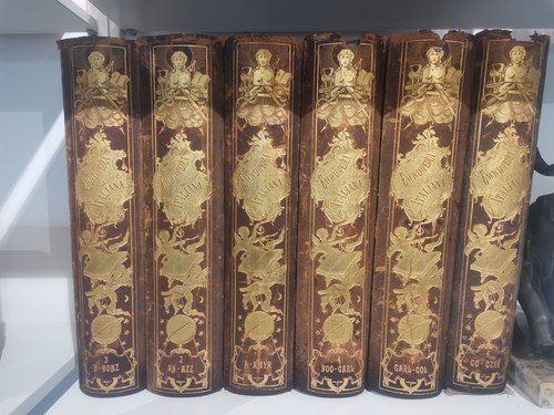 NUOVA ENCICLOPEDIA ITALIANA di Gerolamo Boccardo 1875 COMPLETA 31 volumi …