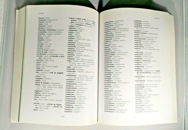 NUOVO DIZIONARIO DEI BARESI di Enrica e Lorenzo Gentile 2007 …