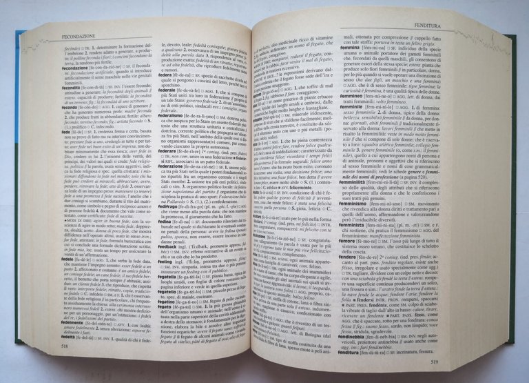 NUOVO DIZIONARIO FONDAMENTALE DELLA LINGUA ITALIANA 2001 De Agostini Libro