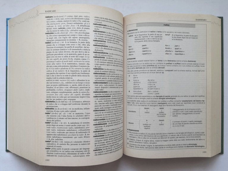 NUOVO DIZIONARIO FONDAMENTALE DELLA LINGUA ITALIANA 2001 De Agostini Libro