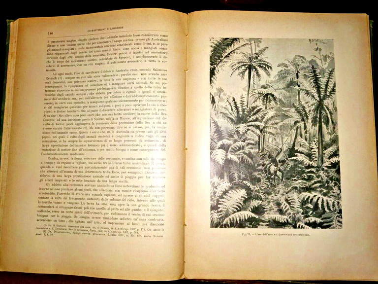 OCEANIA di Pennesi Grasso Musone primi '900 Vallardi popoli del …