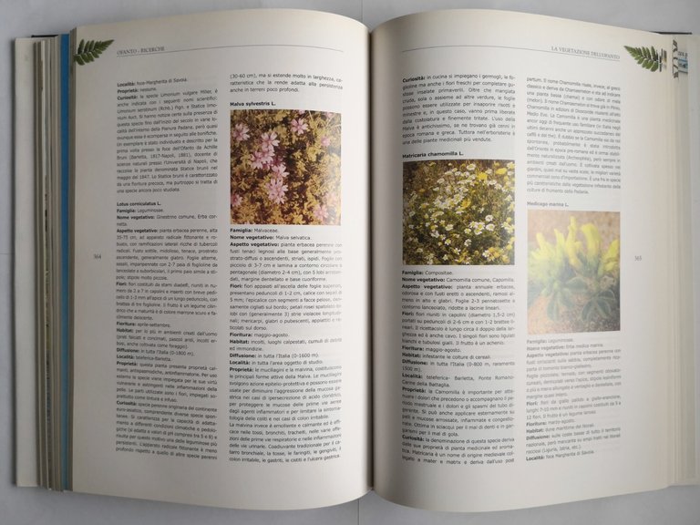 OFANTO a cura di Antonio Ruggiero 2004 BIC Puglia Sprind …