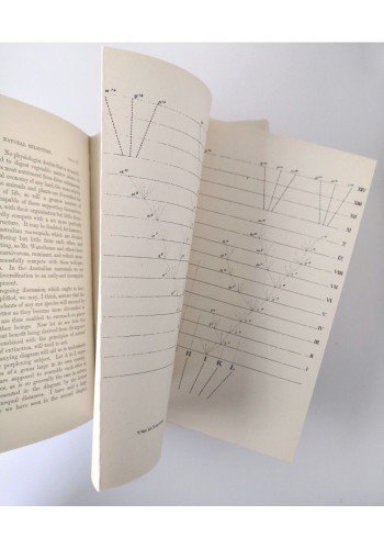 ON THE ORIGIN OF SPECIES di Charles Darwin 1859 John …