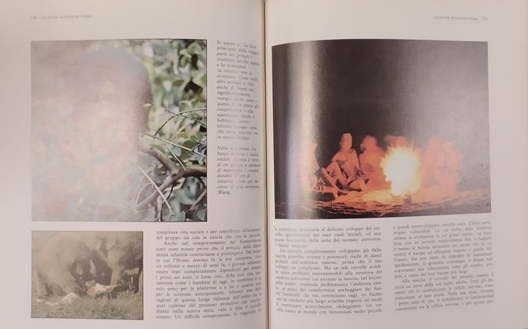 ORIGINI NASCITA E POSSIBILE FUTURO DELL'UOMO di Leakey Lewin 1979 …