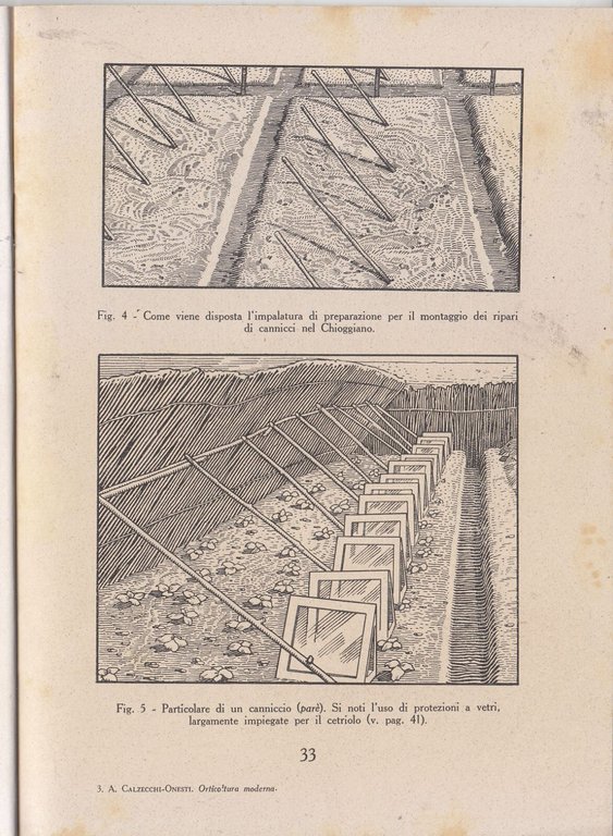 ORTICOLTURA MODERNA PARTE II di A Calzecchi Onesti 1945 REDA …