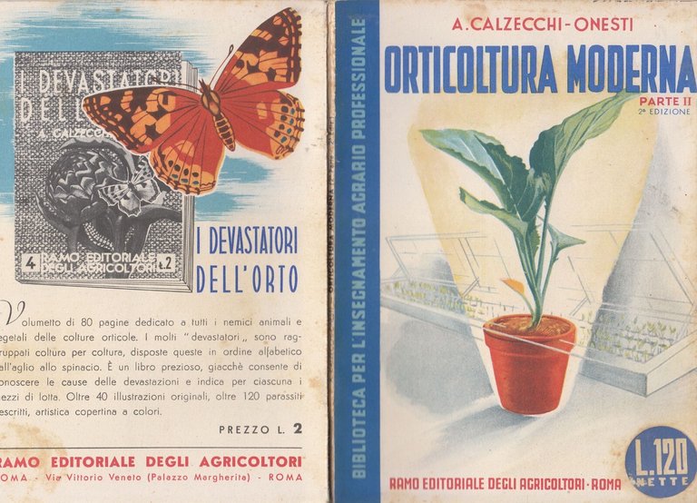 ORTICOLTURA MODERNA PARTE II di A Calzecchi Onesti 1945 REDA …