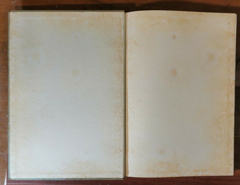 OSTIA di Raissa Calza e Ernest Nash 1959 Sansoni libro …