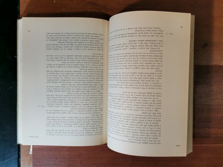 OSTIA di Raissa Calza e Ernest Nash 1959 Sansoni libro …
