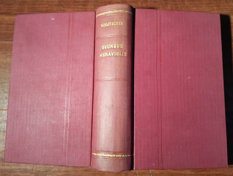 OVUNQUE MERAVIGLIE L'ignoto nel noto di Alessandro Niklitschek Garzanti libro