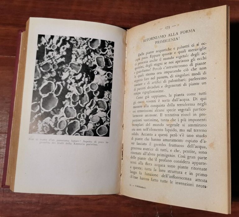 OVUNQUE MERAVIGLIE L'ignoto nel noto di Alessandro Niklitschek Garzanti libro