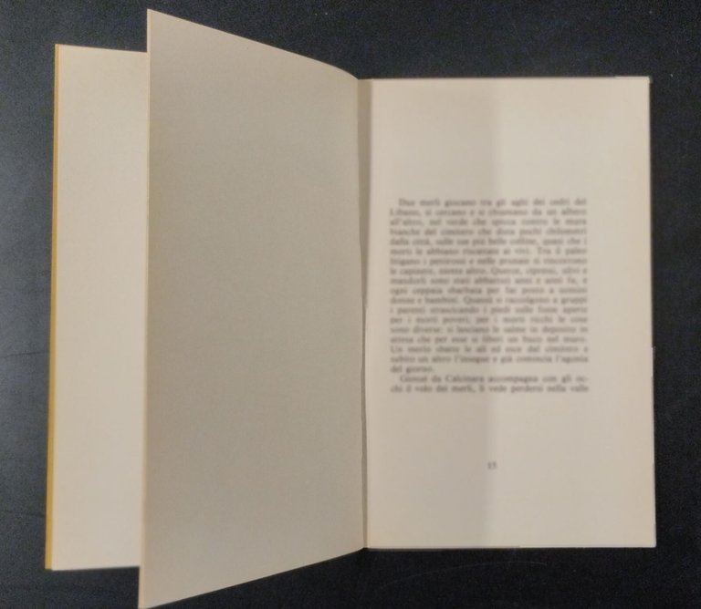 P.A.P.A. PRECEDENZA ASSOLUTA SU TUTTE LE PRECEDENZE Brandimarte 1978 Libro