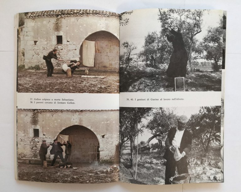 PADRE PADRONE di Paolo e Vittorio Taviani 1977 Cappelli dal …