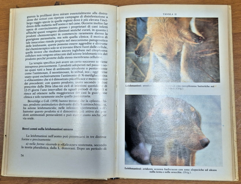 PATOLOGIA TROPICALE E SUB DEGLI ANIMALI DOMESTICI di Colella 1979 …