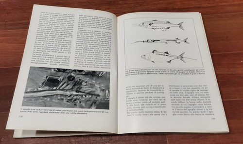 PESCARE IN MARE di Alessandro Magrini 1982 - Editoriale Olimpia …