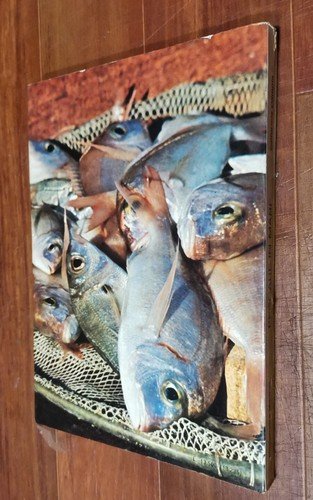 PESCARE IN MARE di Alessandro Magrini 1982 - Editoriale Olimpia …